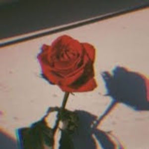 Meet your Posher, Gage